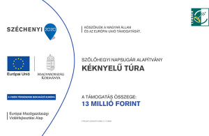 3117108584_d_fekvo_vajojel_nelkuli